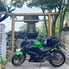 Z250 スペシャルエディション　カワサキ　グリーンカラー　ET...