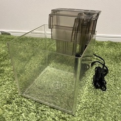 【決まりました】水槽　プラスチック水槽