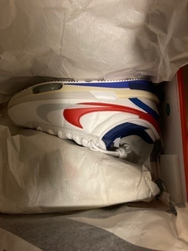 NIKEスニーカー　27.0㎝