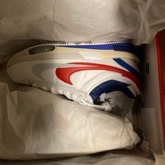 NIKEスニーカー　27.0㎝