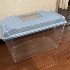 虫かご