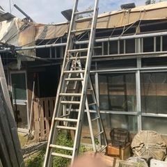 梯子(商談中)