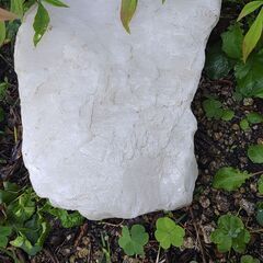 半透明　白い石　20～25㎝程度の画像