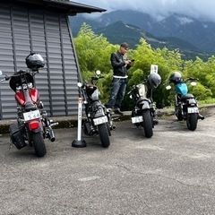 月曜火曜、走れるハーレー仲間募集中‼️