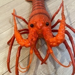 伊勢海老フィギュア🦐の画像