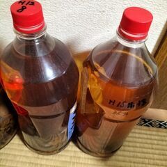 朝鮮人参　酒の画像