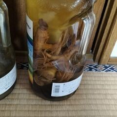 朝鮮人参　酒　の画像