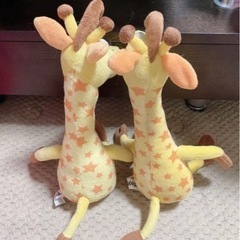 トイザらス　ジェフリー　1つの画像