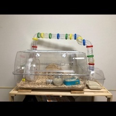 ✴︎値下げ✴︎ ハムスター 飼育セット　ルーミィ60  ハムスターケージの画像