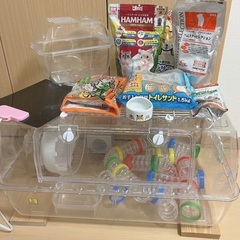 ✴︎値下げ✴︎ ハムスター 飼育セット　ルーミィ60  ハムスターケージの画像