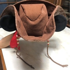 ディズニー　テンガロンハット　カウボーイハットの画像