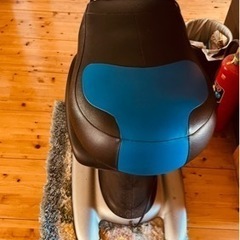 ロデオボーイの画像