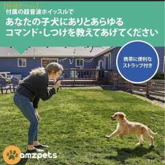 AMZpets 子犬トレーニング4点セット　訓練　(新品未使用)の画像