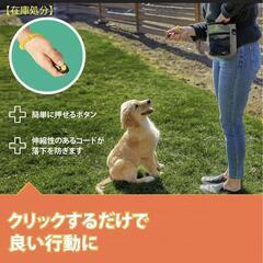 AMZpets 子犬トレーニング4点セット　訓練　(新品未使用)の画像