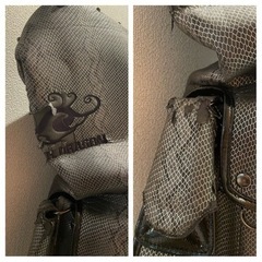 ダンスウィズドラゴン　ゴルフバック　キャディーバックの画像