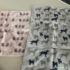 コンテックス　綿100%のタオル　ハンカチタオル3枚セットの画像