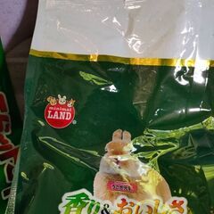 うさぎフードの画像