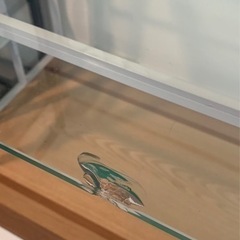 店舗 ガラス什器
