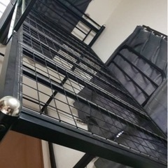 パイプロフトベットの画像