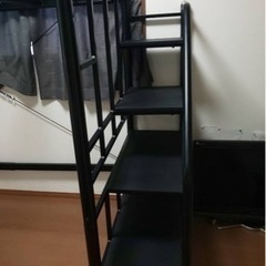 パイプロフトベットの画像