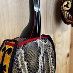 以前から興味のあった三線。@550円/50分~沖縄三線教室 三線が安い 習い事に最適　ファミリー・カップル・友達同士でどうぞ の画像