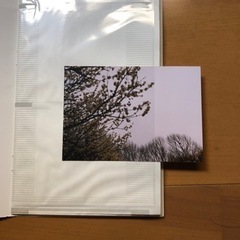 写真入れ　36枚入れ×5冊　パノラマ　アルバムの画像