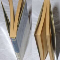【超人気古本】志茂田景樹「野獣たちの墓碑銘」・・・　古い西洋館。一枚の絵に魅かれた若い女が、その館に隠棲する作者に会うため訪れた・・・他4編の画像