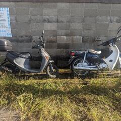 50cc原付お貸しします
