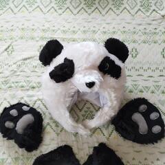 ハロウィーン　パンダコスプレ！の画像