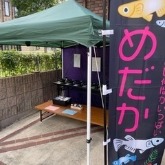 無人販売所（もりたんめだか）