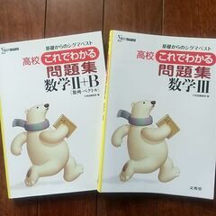 高校これでわかる問題集　2冊