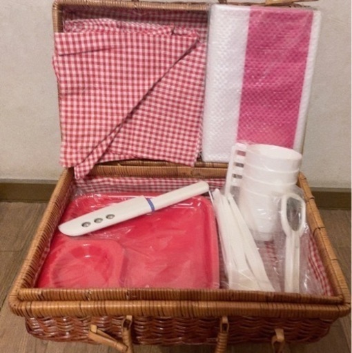 〖未使用品〗ファミリーピクニックセット