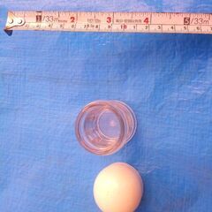 爪楊枝入れ？の画像
