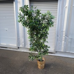 【お渡し決定済み】人工観葉植物　木　フェイクグリーン