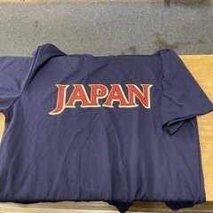 オールジャパンＴシャツ　LLの画像