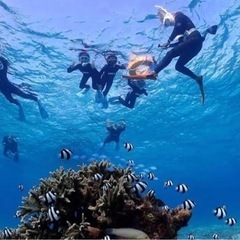 🚭のみ❗️10月22日(日)個人のボートでチービシ諸島へ行きませ...