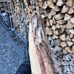 薪　キャンプやBBQなどに最適の画像