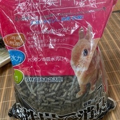 うさぎの三角トイレの画像