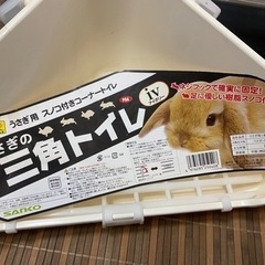うさぎの三角トイレ