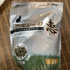 うさぎの三角トイレの画像