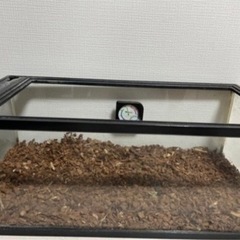❤️値下げ❤️リクガメケージ🐢 の画像