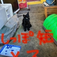 募集終了致します