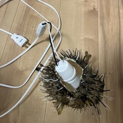 ハリセンボン提灯（小）の画像