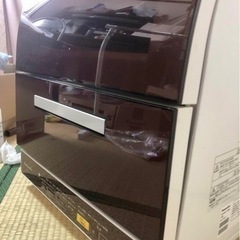Panasonic NP-TR9 2017年の画像