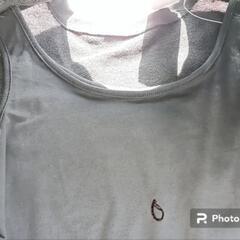 REINETTE  カットモード レディース トップス  ショート丈  Mサイズの画像