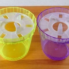 プラ水栽培容器🪻１球用１個30円♻️中古品の画像