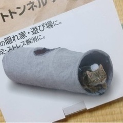 猫用品セットの画像