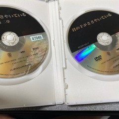 君の手がささやいている　DVDの画像
