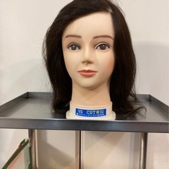 美容師カットトレーニングウイッグ高級10個セット価格