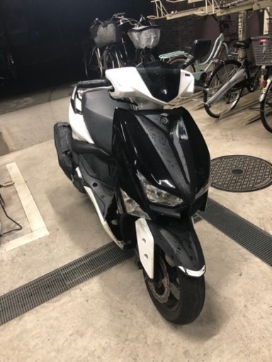 シグナス　グリファス！